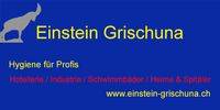 Einstein Grischuna
